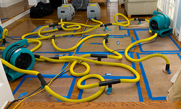 Professional Flood Damage Restoration technician working in Scenery Hill, PA